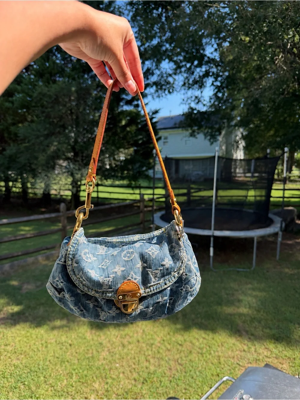 Louis Vuitton monogram pleaty bag